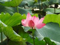 Westsee Hangzhou China