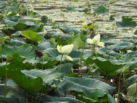 Westsee Hangzhou China