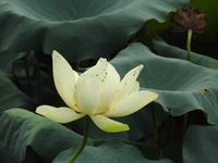 Westsee Hangzhou China