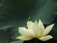 Westsee Hangzhou China