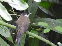 Orchideen Park Kanton China