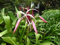 Orchideen Park Kanton China