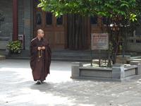 Kloster der sechs Banyanbäume Kanton China