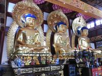 Kloster der sechs Banyanbäume Kanton China