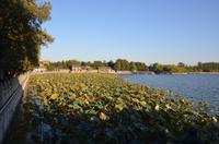 Kunming-See im Sommerpalast, Peking