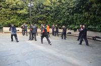 Tai Chi im Park