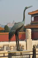 Kranich vor der Halle der höchsten Harmonie in der verbotenen Stadt