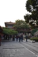 Kaiserlicher Garten der verbotenen Stadt