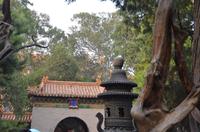 Kaiserlicher Garten der verbotenen Stadt