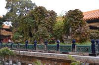 Kaiserlicher Garten der verbotenen Stadt