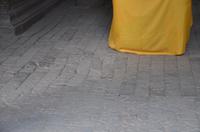 Dellen durchs Kung-Fu-Training