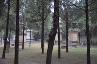 Pagoden-Wald, Shaolin-Kloster