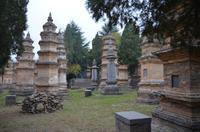 Pagoden-Wald, Shaolin-Kloster