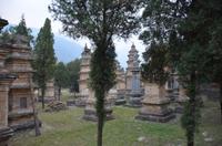 Pagoden-Wald, Shaolin-Kloster