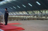 Terrakotta-Armee, Halle 1