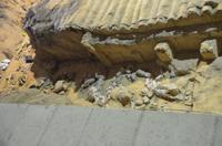 Terrakotta-Armee, Halle 2