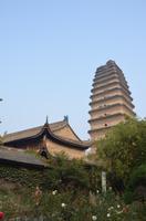 Kleine Wildganspagode, Xi'an