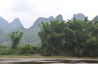 Phönix-Bambus am Li-Fluss