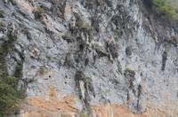 Karstberge am Li-Fluss