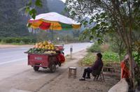 Straßenverkauf von Obst