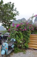 Blick auf den Mondberg