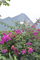 Blick auf den Mondberg