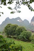 Blick auf den Mondberg