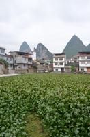 Dorfleben am Li-Fluss