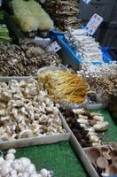 Marktbesuch in Suzhou