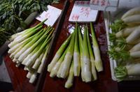 Marktbesuch in Suzhou