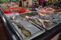 Marktbesuch in Suzhou