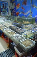 Marktbesuch in Suzhou