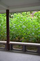 Maulbeerpflanzen in der Seidenmanufaktur, Suzhou