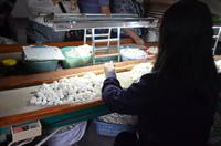 Seidenmanufaktur, Suzhou