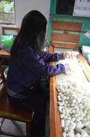 Seidenmanufaktur, Suzhou