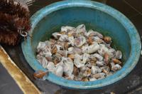 Seidenmanufaktur, Suzhou