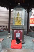 Jade-Buddha-Tempel, Shanghai