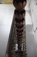 Lotus-Regenrinne, Jade-Buddha-Tempel