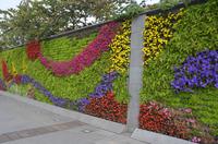 Blumenwand am Bund, Shanghai