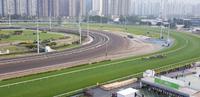 Hong Kong - Pferderennen im Sha Tin Racecourse