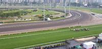 Hong Kong - Pferderennen im Sha Tin Racecourse