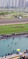 Hong Kong - Pferderennen im Sha Tin Racecourse
