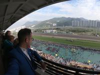 Hong Kong - Pferderennen im Sha Tin Racecourse