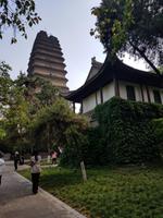 Kleine Wildganspagode