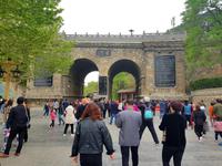 Drachen Grotte in Luoyang