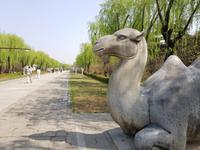 Steinernde Allee, Ming Gräber