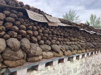 Gangdui - getrocknete Yak-Exkremente