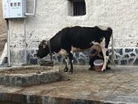 Gyantse - Straßenszene