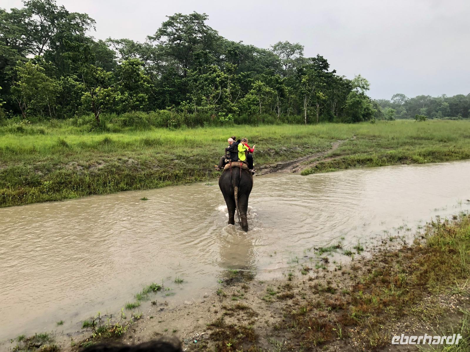 Chitwan Nationalpark - Elefanten-Safari