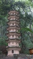 1820 _Pagodenwald bei der Pagode der Sechs Harmonien in Hangzhou